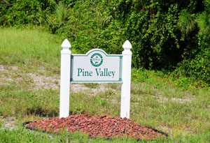 Rotonda Pine Valley