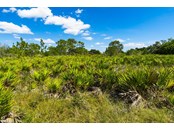 Vacant Land for sale at 25005 69th Ave E, Myakka City, FL 34251 - MLS Number is A4514206