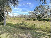 View behind house.  Acres of Trees - Single Family Home for sale at 407 169th Ct Ne, Bradenton, FL 34212 - MLS Number is A4519074